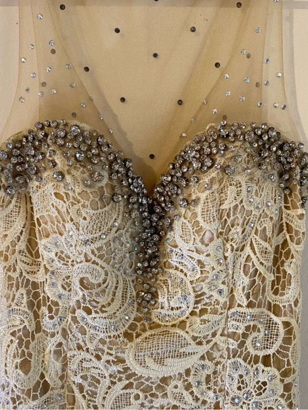 Panoply Elegant Cream Lace Gown size 4 - Picture 4 of 15